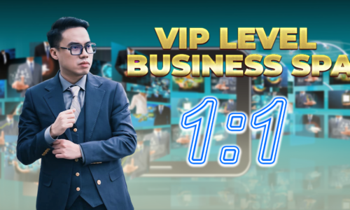 VIP LEVEL BUSINESS SPA